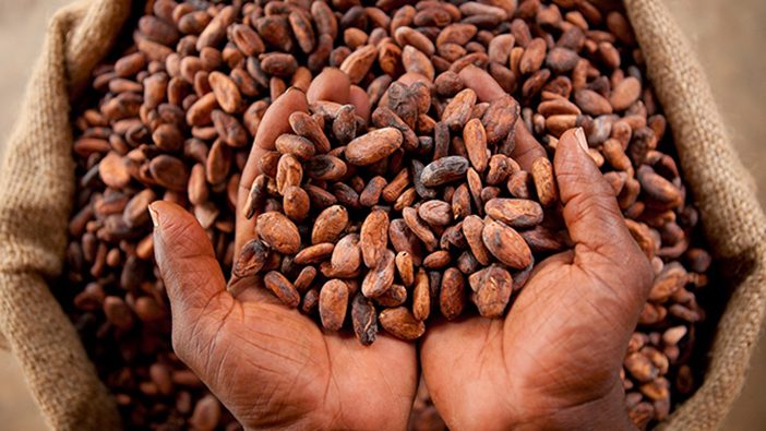 La Côte d’Ivoire annonce le démarrage prochain de la traçabilité totale de son cacao