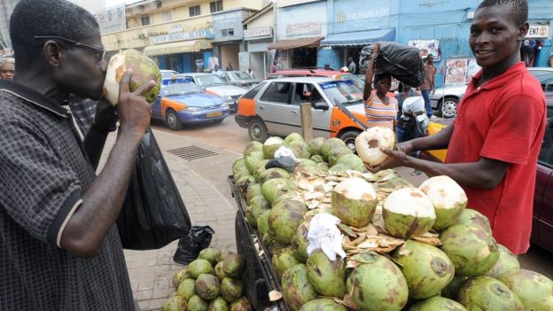 Les revenus de noix de coco au Ghana ont progressé de 54%