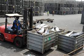 Côte d’Ivoire: Contestations autour des spéculations sur le prix du thon