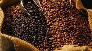 La production de café en Ouganda va repartir à la hausse