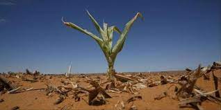 Côte d’Ivoire: Le changement climatique africain au centre d’un webinaire du REMAPSEN