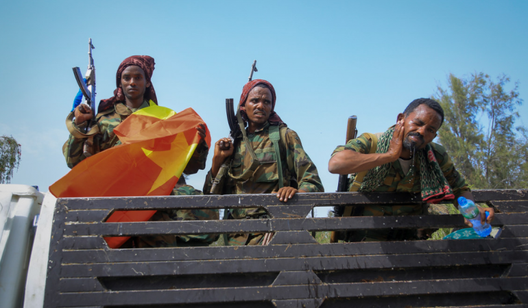 Ethiopie: Le TPFL veut une trêve des combats sous conditions