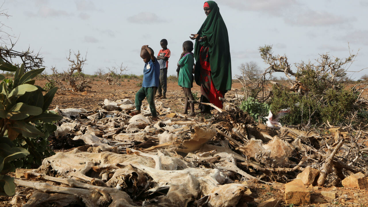 Somalie: Face à la famine menaçante, des agences humanitaires tirent la sonnette d’alarme