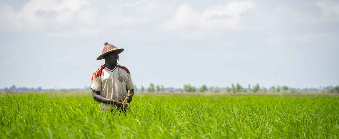 La BAD débloque un prêt de 63,6 millions d’euros pour la réalisation d’une agropole au centre du Sénégal