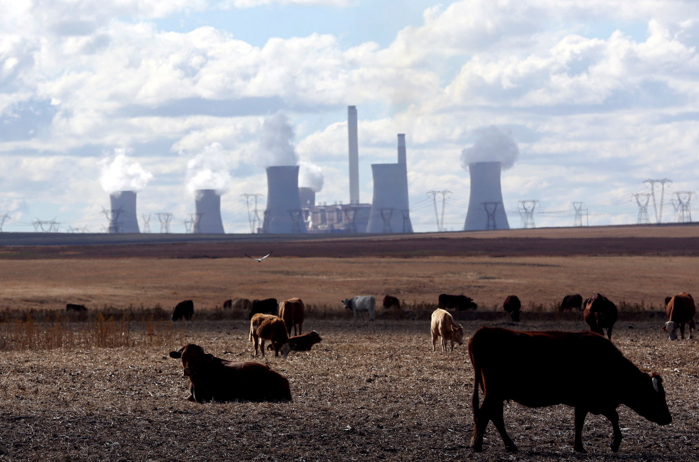 Afrique du Sud : Plus de 5000 morts par an à cause du charbon