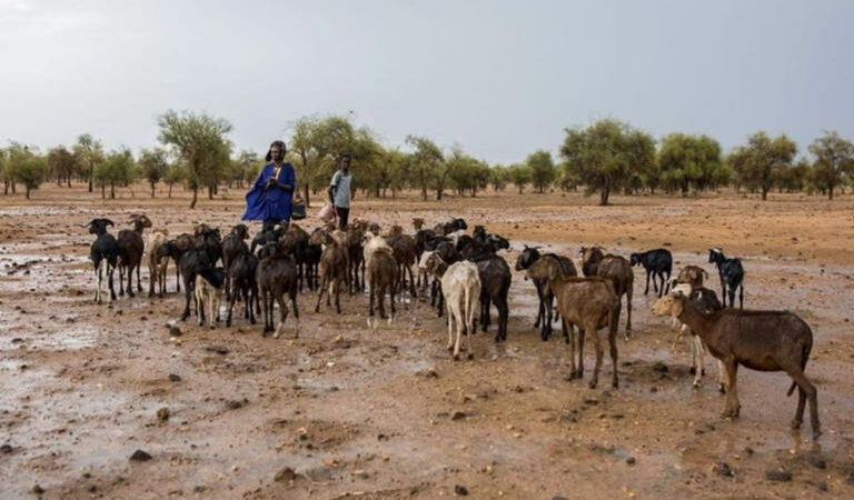 La Force du G5 Sahel demeure une composante importante de la réponse à l’insécurité (ONU)