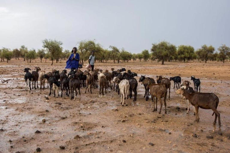 La Force du G5 Sahel demeure une composante importante de la réponse à l’insécurité (ONU)