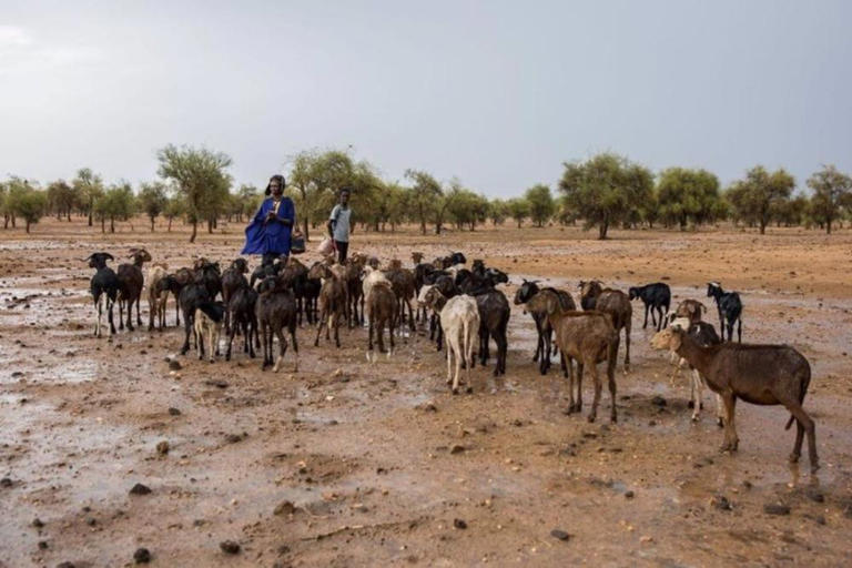 La Force du G5 Sahel demeure une composante importante de la réponse à l’insécurité (ONU)