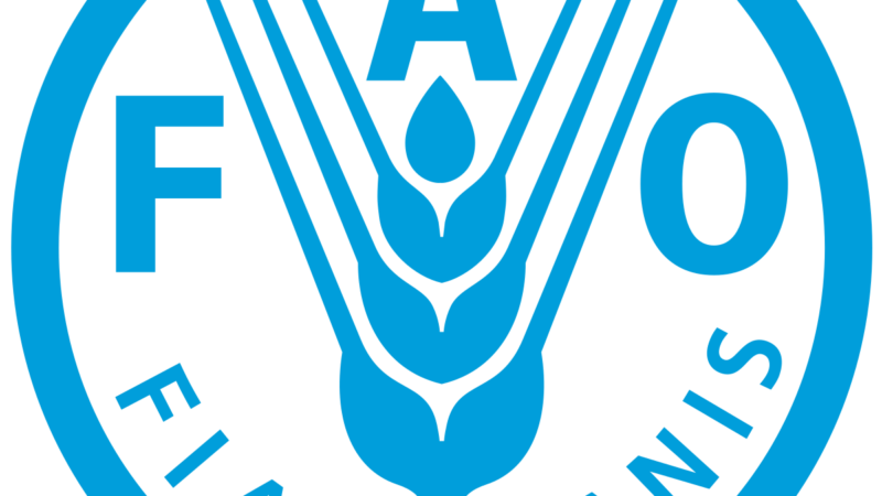 La FAO sonne le tocsin autour du prix des denrées alimentaire en Afrique de l’ouest et au Sahel