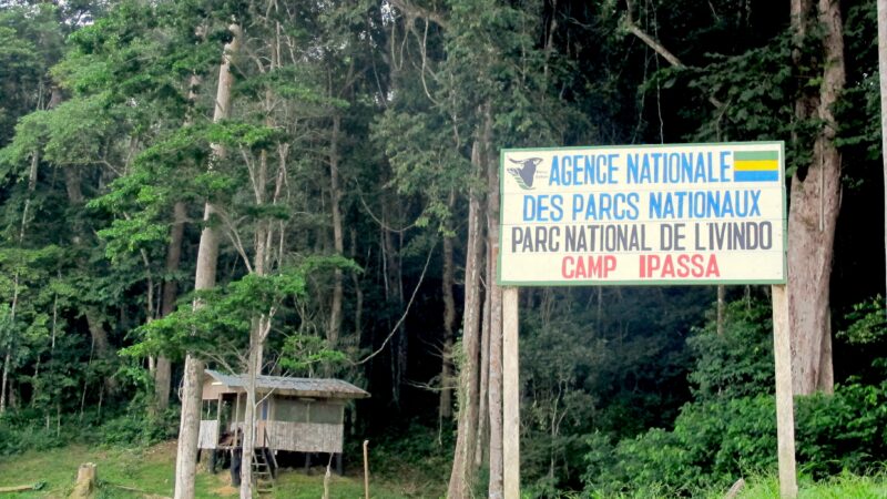 Gabon : Libreville accueille un atelier de révision des statuts de conservation d’une vingtaine d’espèces ligneuses d’Afrique centrale