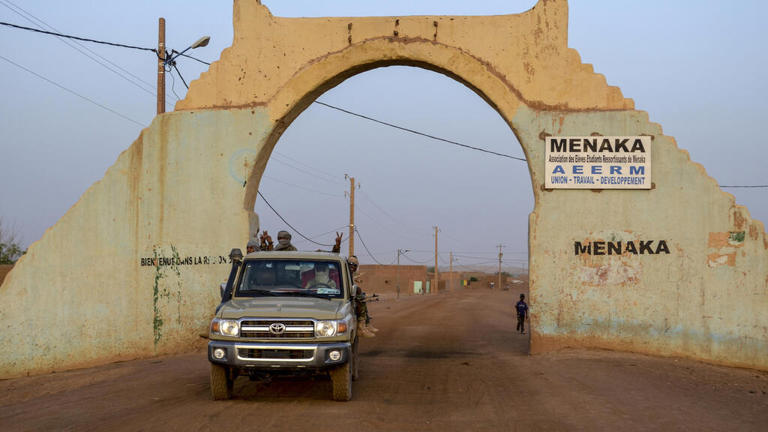 Mali: Un médecin de l’OMS enlevé dans l’Est