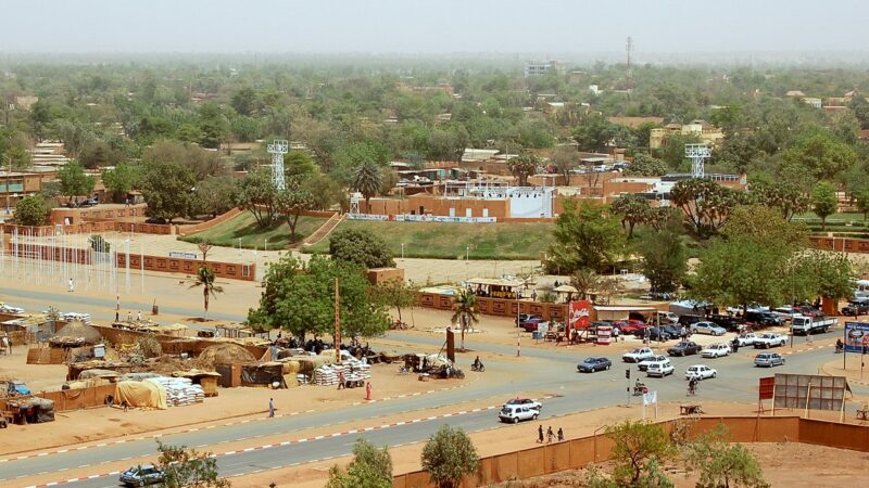 Mesures fermes de l’Etat nigérien contre la grippe aviaire