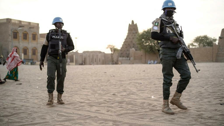 L’ONU «regrette» l’expulsion de son chef de la division des droits humains du Mali