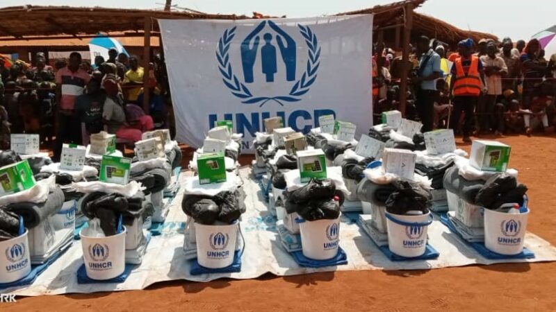 Centrafrique : La BAD et le HCR s’allient pour des initiatives communes à Bria