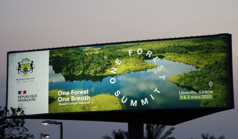 Environnement : Début à Libreville du sommet «One Forest Summit» 