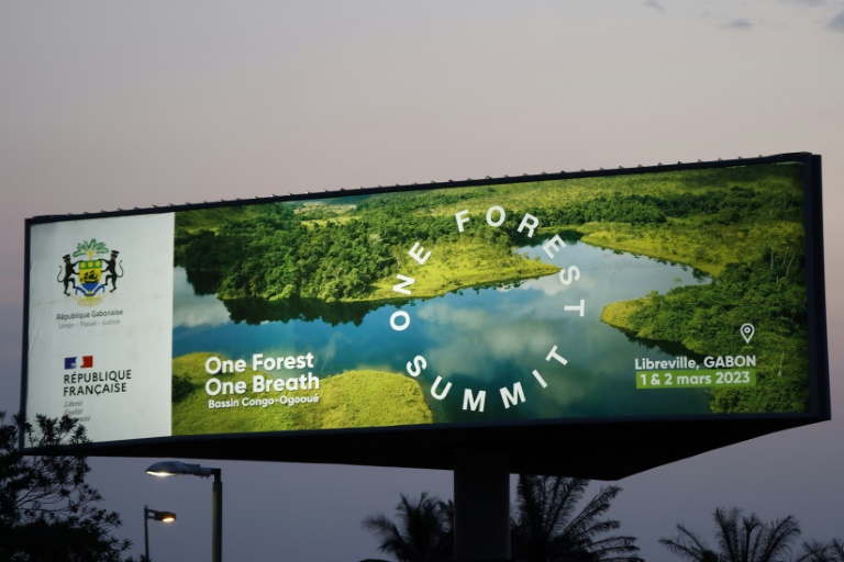Environnement : Début à Libreville du sommet «One Forest Summit» 