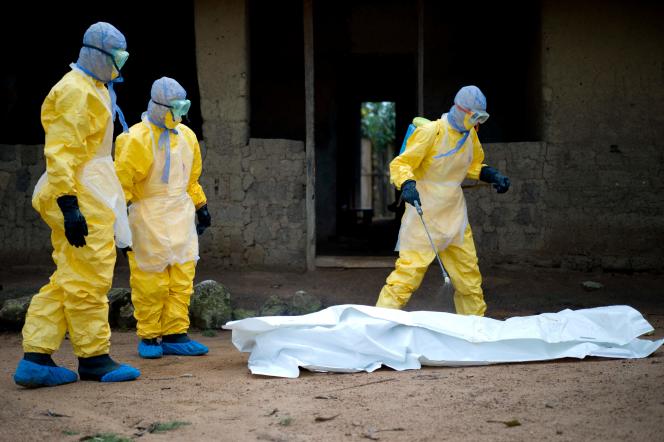 Le virus Marburg fait une dixième victime en Guinée équatoriale 