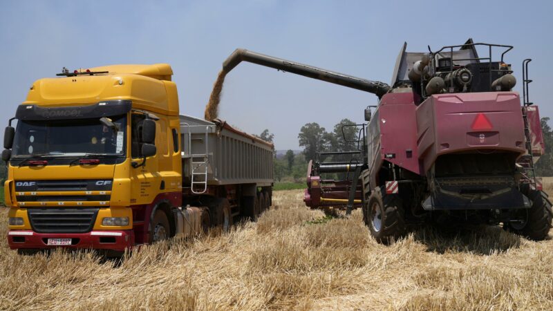 Le Zimbabwe ambitionne de porter à 408.000 tonnes, sa production annuelle de blé