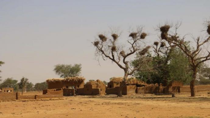 L’armée malienne annonce avoir interpellé «douze terroristes» dans le Nord-est