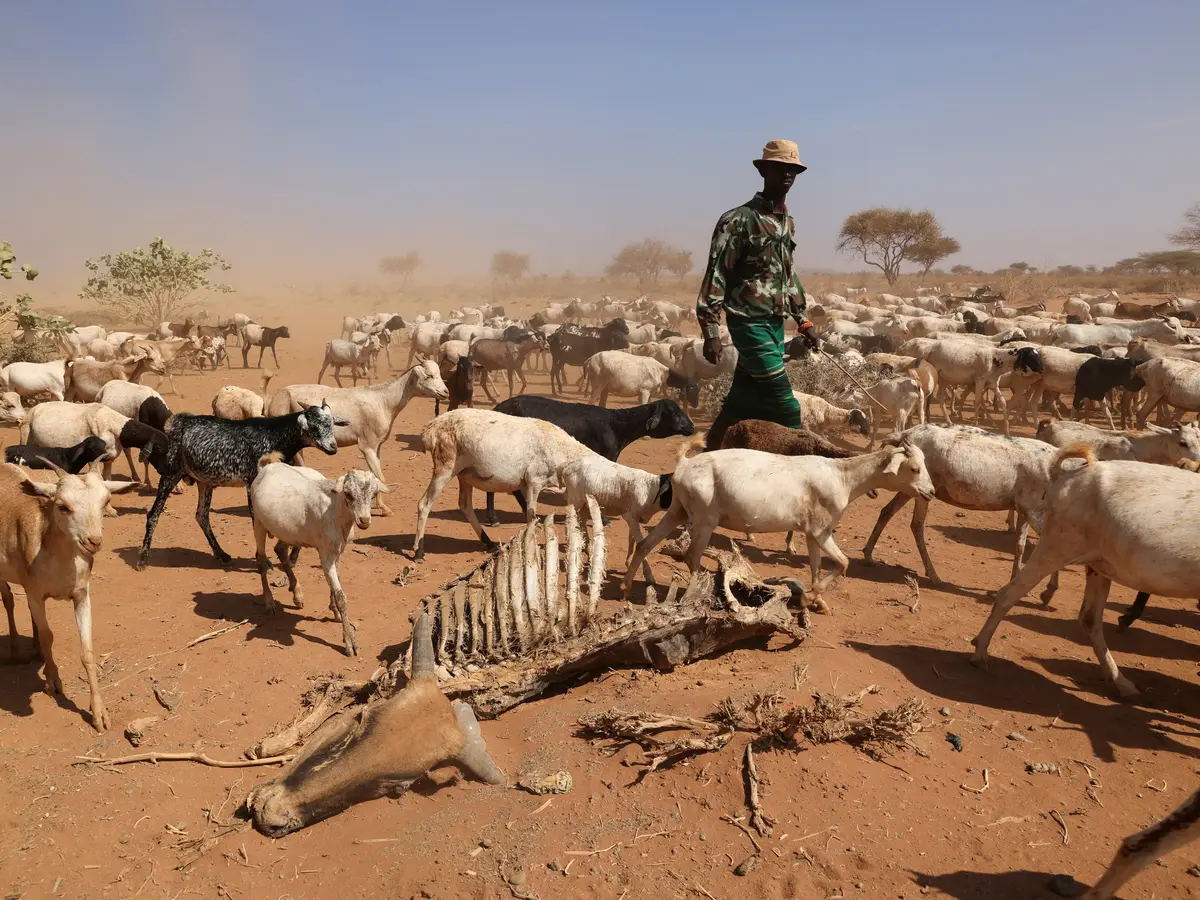 ONU-Sécheresse : António Guterres demande un financement « immédiat » pour la Corne de l’Afrique