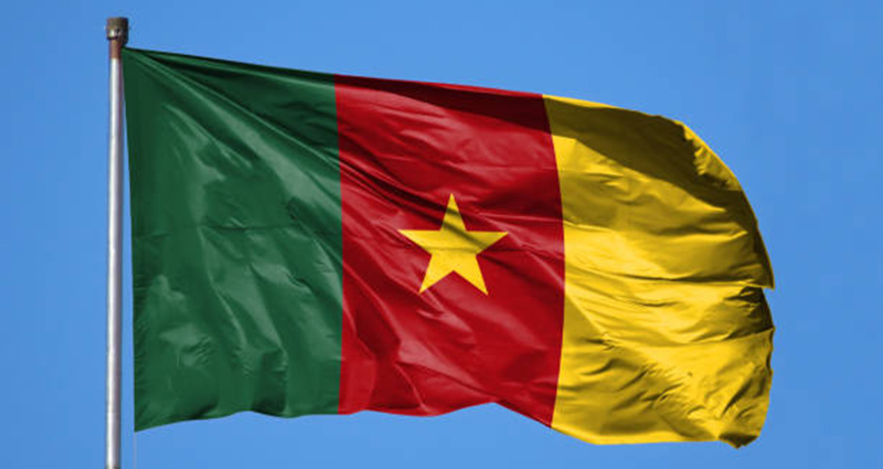 Football/CAN U17: les Lionceaux camerounais, champions d’Afrique en titre, éliminés dès le 1er tour