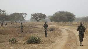 Afrique de l’Ouest-Terrorisme : Les forces armées du Niger et du Nigeria neutralisent 55 «terroristes» lors d’une opération conjointe
