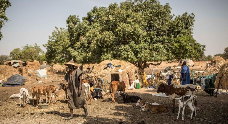 Mali : Amnesty International réclame la poursuite des auteurs des tueries à Moura