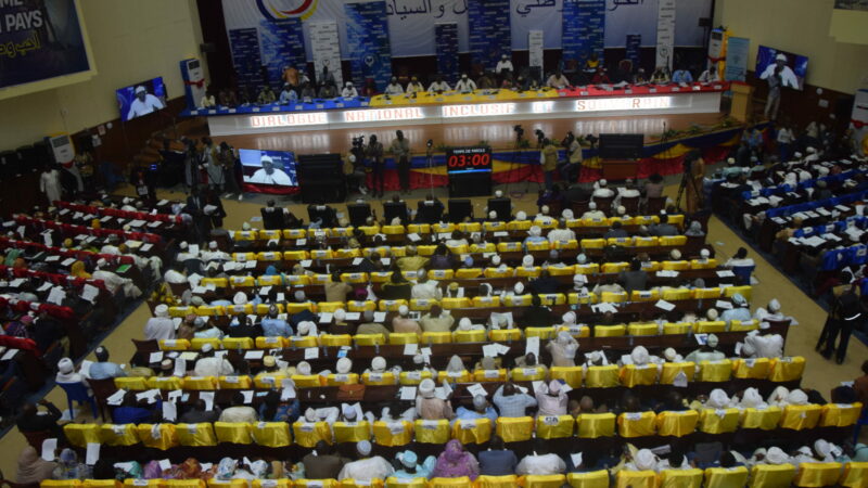 Tchad: Le CNT adopte le projet de nouvelle Constitution