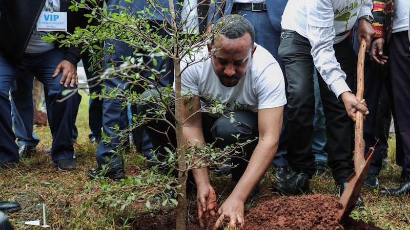 Ethiopie : Abiy Ahmed lance la 2è phase de la «Green Legacy Initiative» pour la plantation de 25 milliards d’arbres