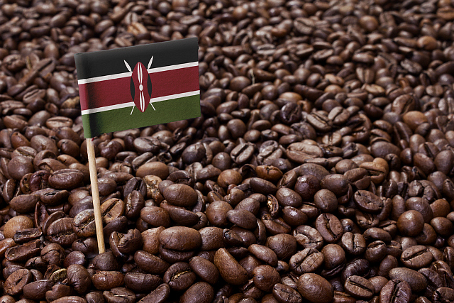 Le Kenya obtient de l’UE un accès préférentiel de ses produits au marché européen
