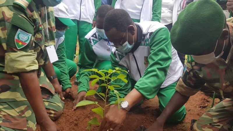 Journée nationale de l’arbre 2023 au Burkina : Plus de 60 000 plants seront mis en terre
