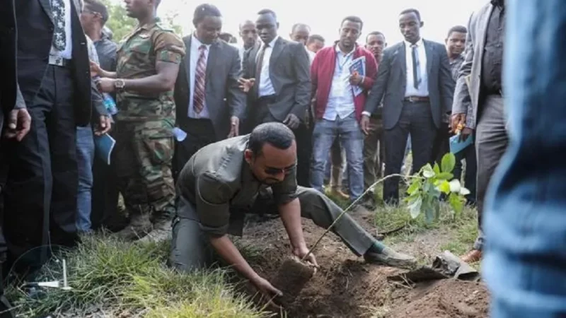 Reboisement : Le pari «fou» de l’Ethiopie qui promet la plantation de 500 millions d’arbustes en un jour 