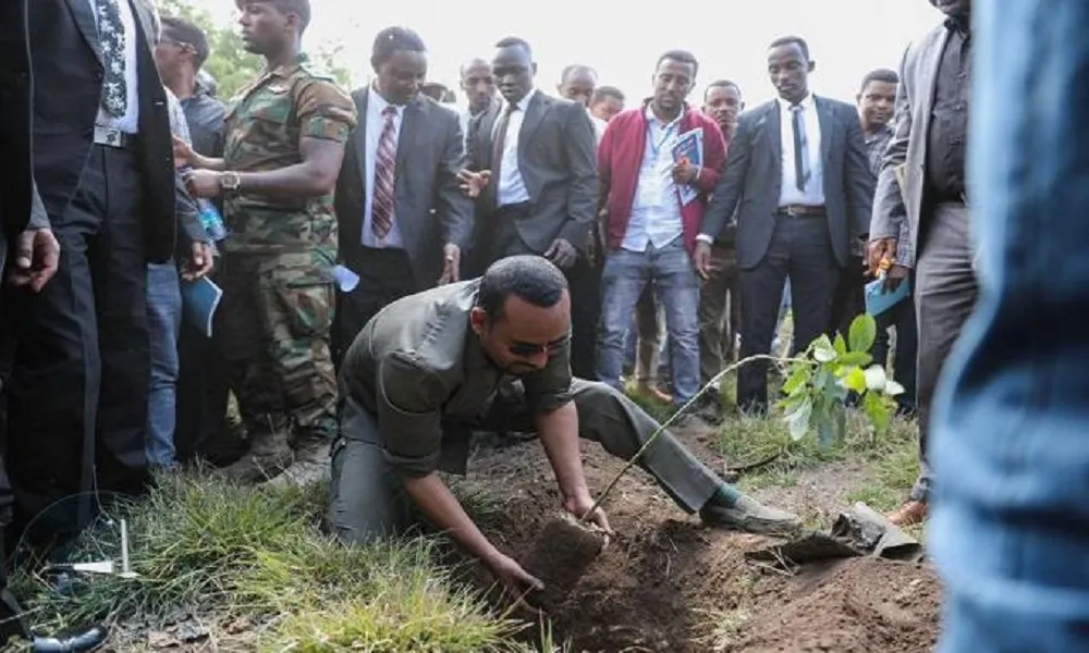 Reboisement : Le pari «fou» de l’Ethiopie qui promet la plantation de 500 millions d’arbustes en un jour 