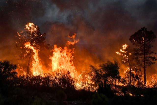 Le bilan des incendies en Algérie s’alourdit à 34 morts