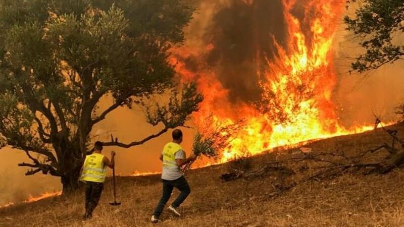 Algérie: La Junte militaire à la recherche de boucs émissaires dans les récents incendies en Kabylie