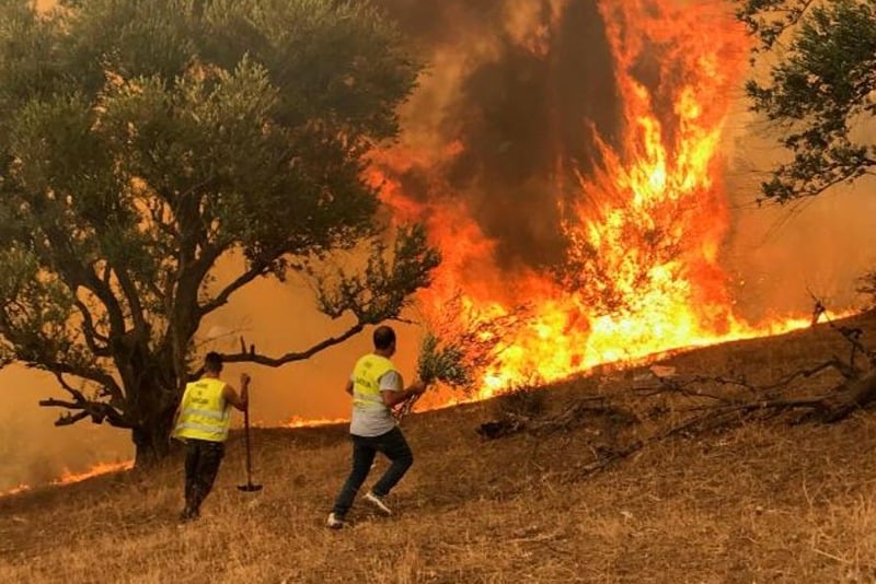 Algérie: La Junte militaire à la recherche de boucs émissaires dans les récents incendies en Kabylie