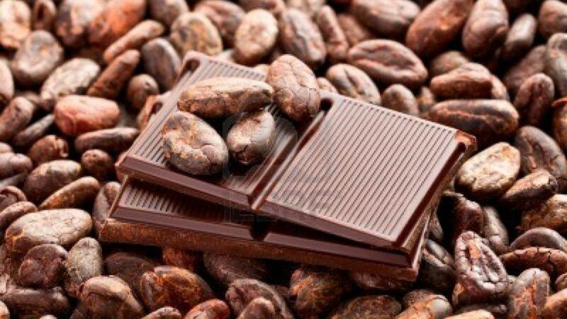 La Côte d’Ivoire met en place un système national de traçabilité de ses produits café et cacao
