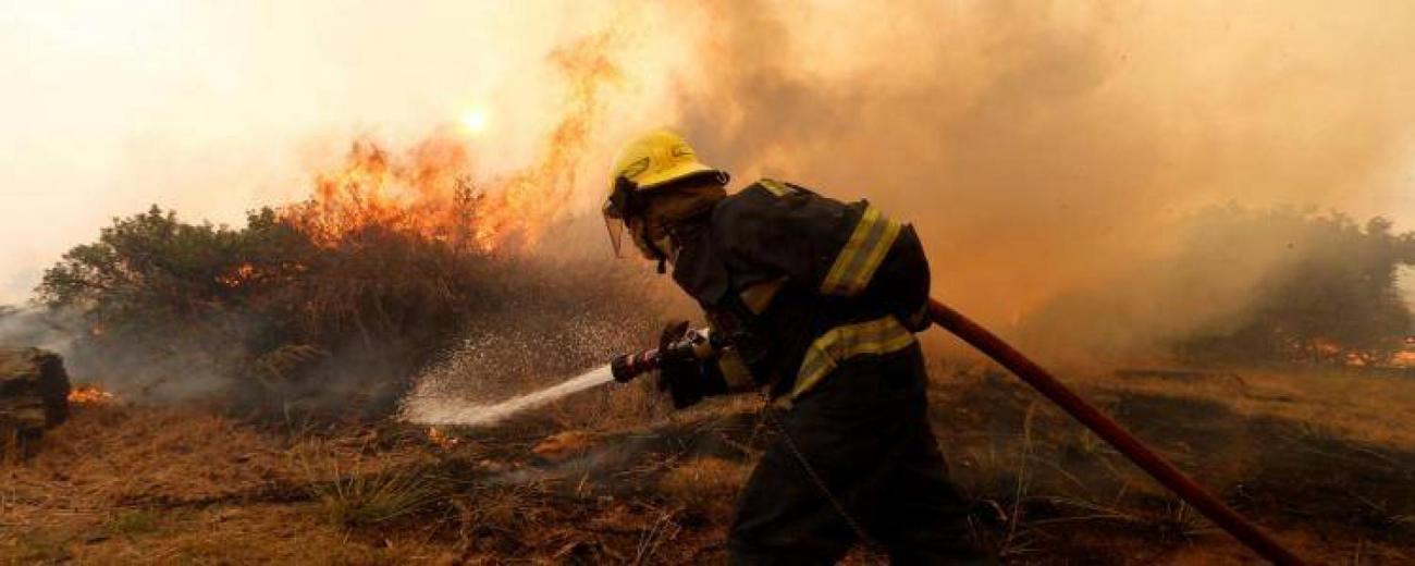 Afrique du Sud: Un incendie de forêt ravage la province du Cap Nord