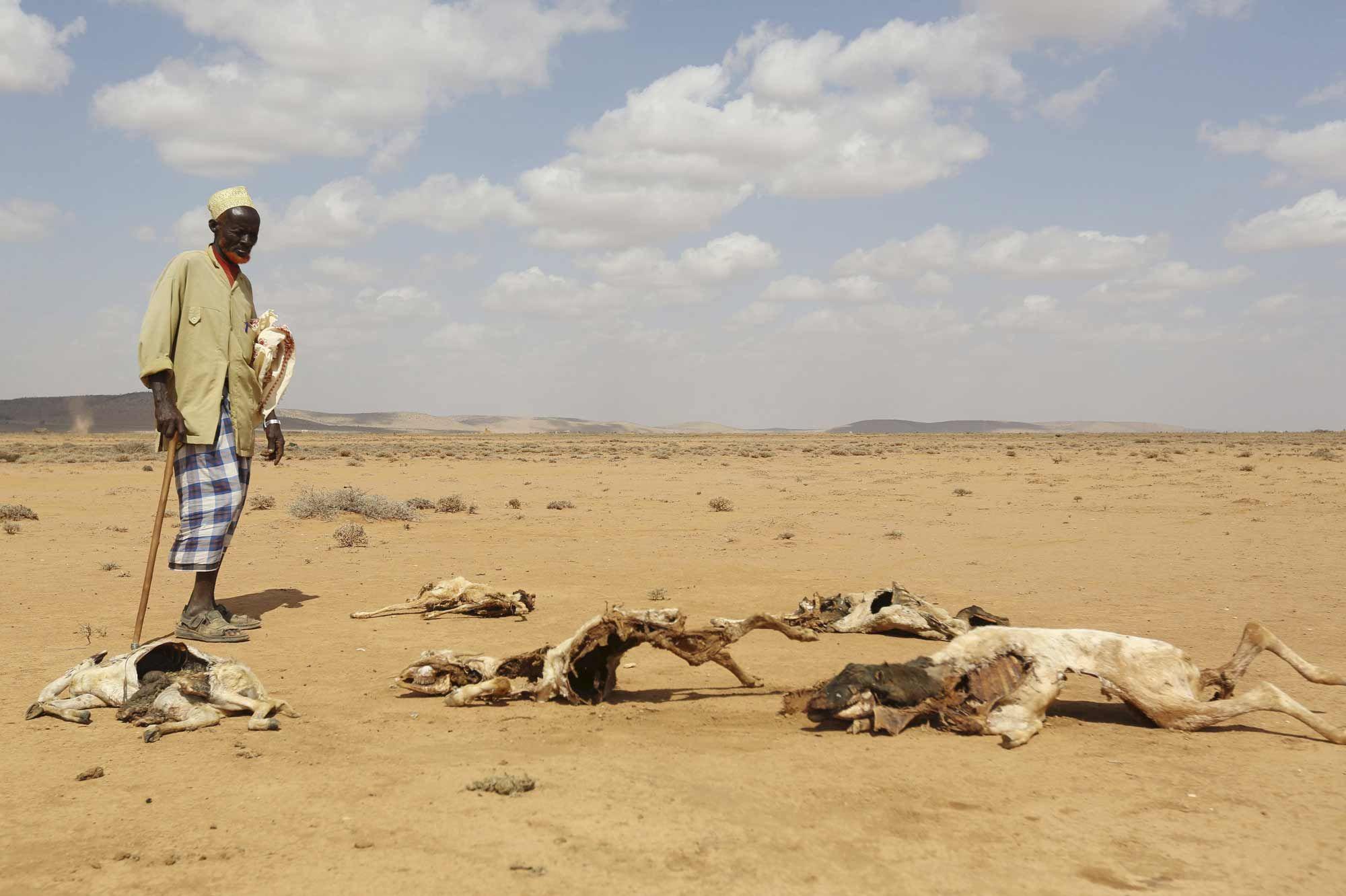 L’ONU octroie 15 millions de dollars pour répondre aux inondations dues à El Niño en Somalie