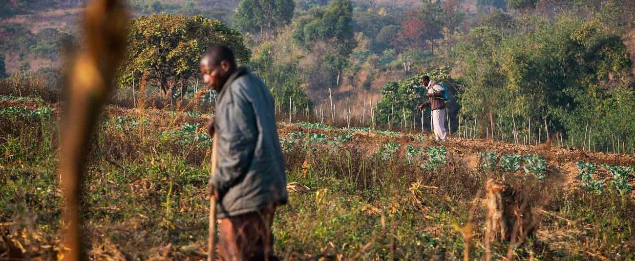La BAD fait un don à la Tanzanie de 2,5 millions de dollars pour soutenir 10 000 petits exploitants de la filière horticole