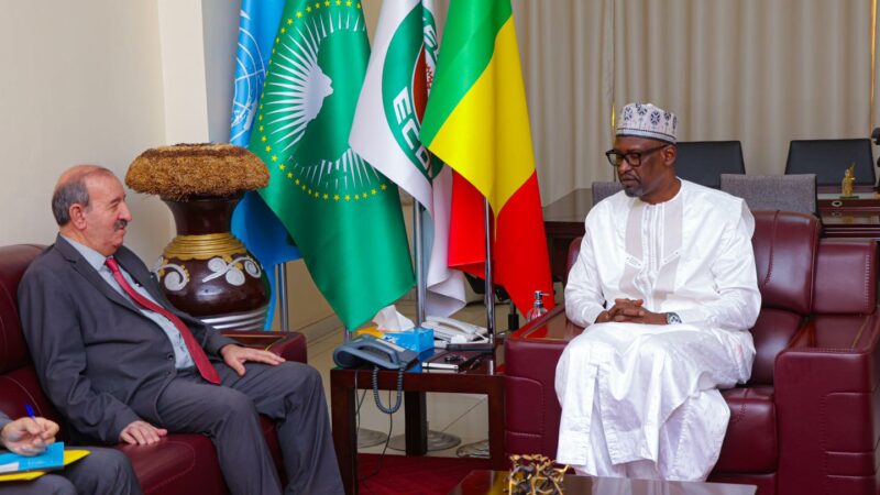 La junte malienne très fâchée contre des «actes inamicaux» de la part des autorités algériennes
