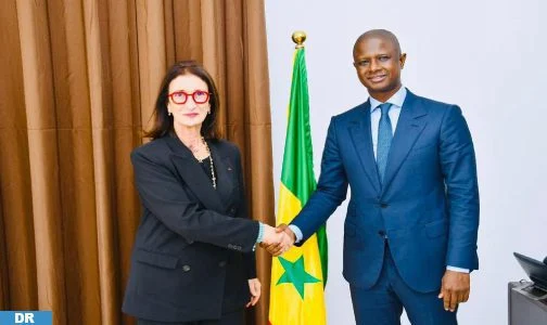 Le Sénégal se dit engagé à contribuer au succès du projet stratégique de gazoduc Nigeria-Maroc