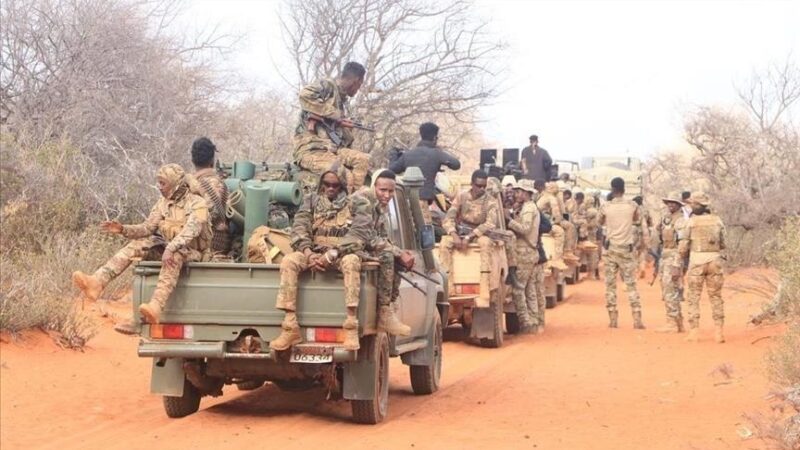 Quelques 130 rebelles Shabab neutralisés en Somalie