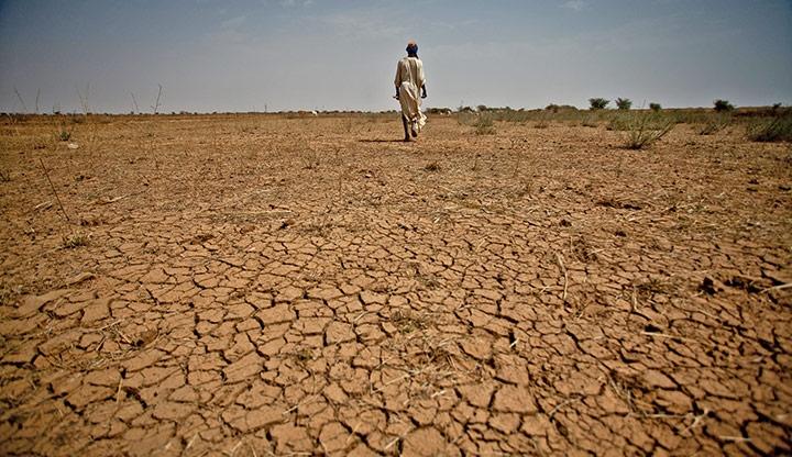 Plus de 10 millions de personnes en Éthiopie menacées par une insécurité alimentaire d’ici juillet 2024 (Officiel)