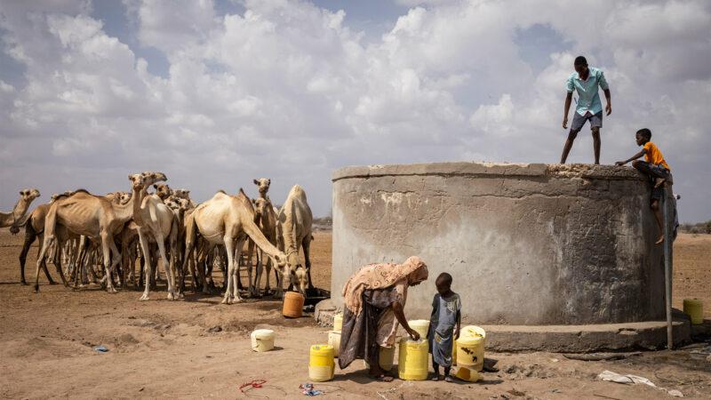 Le PAM peine à gérer l’insécurité alimentaire aiguë dans les pays d’Afrique orientale