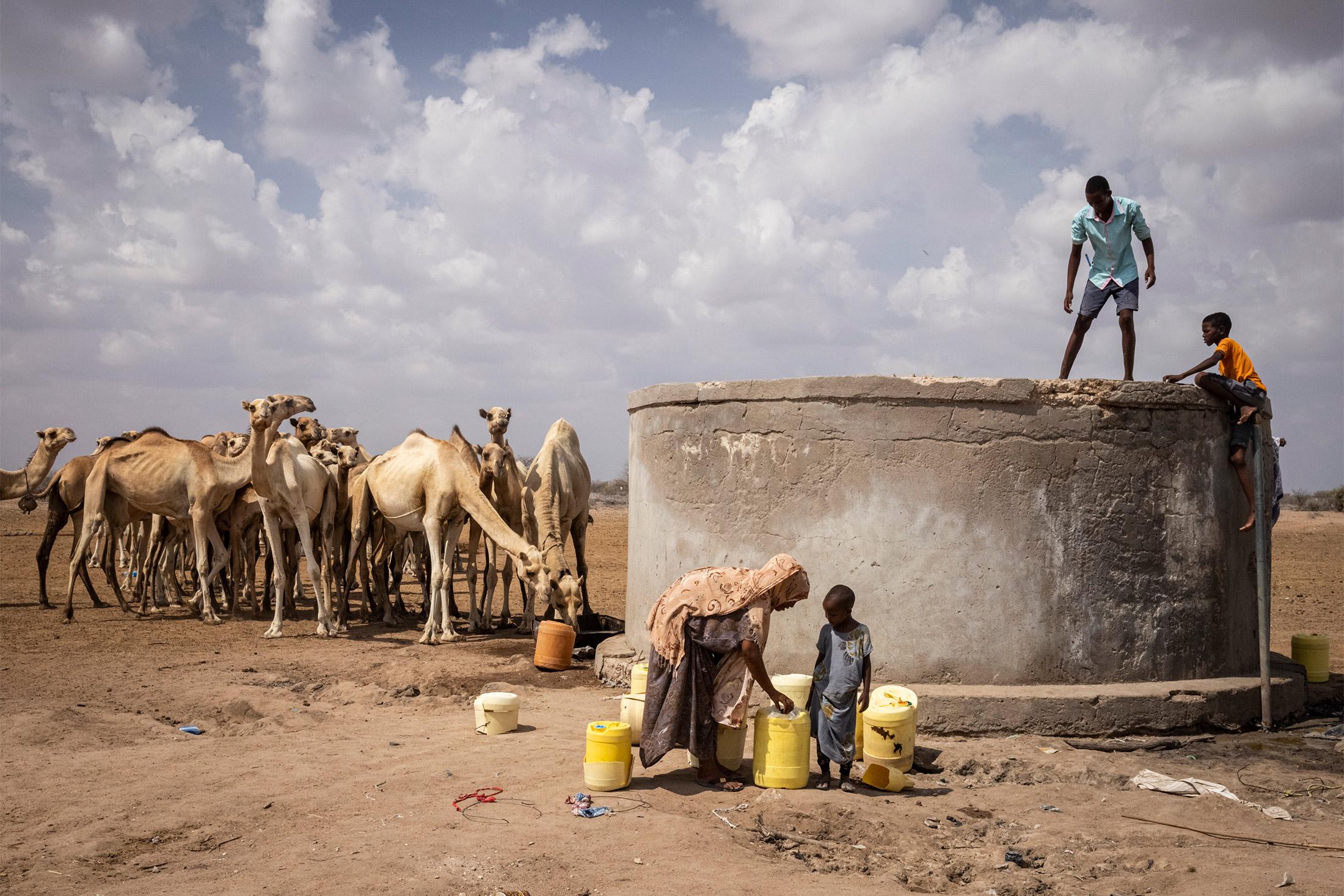 Le PAM peine à gérer l’insécurité alimentaire aiguë dans les pays d’Afrique orientale