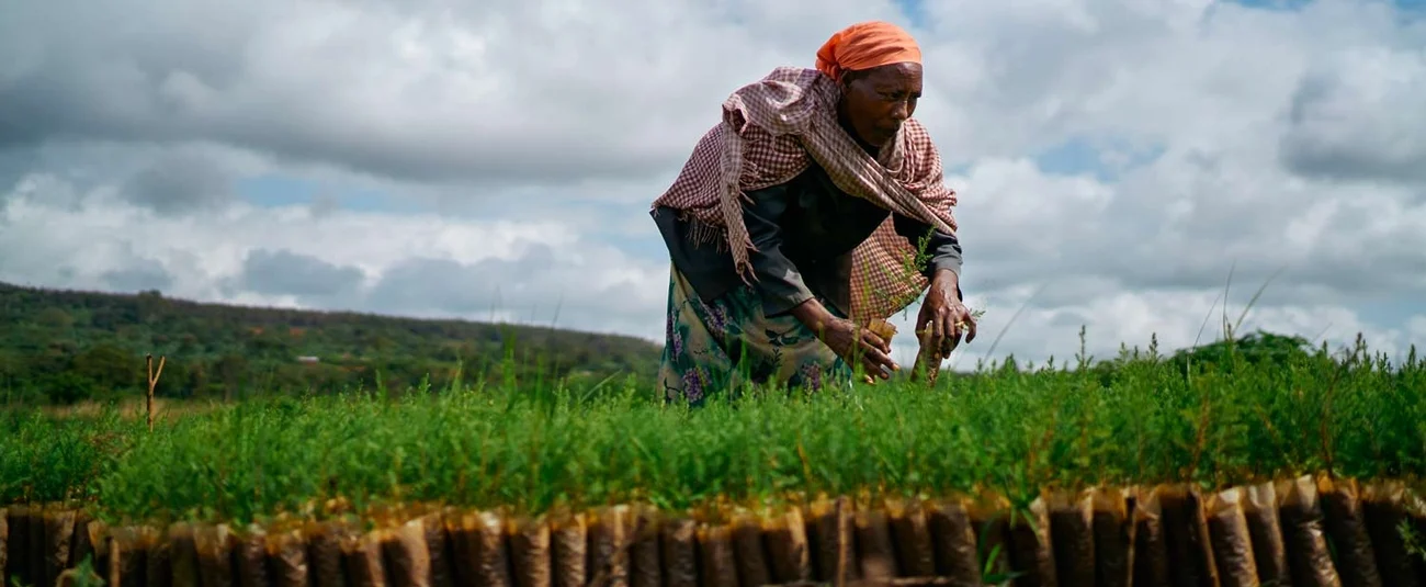 Le Fonds africain de développement fait don à l’Éthiopie de 46 millions de dollars destiné aux communautés pastorales du Borana