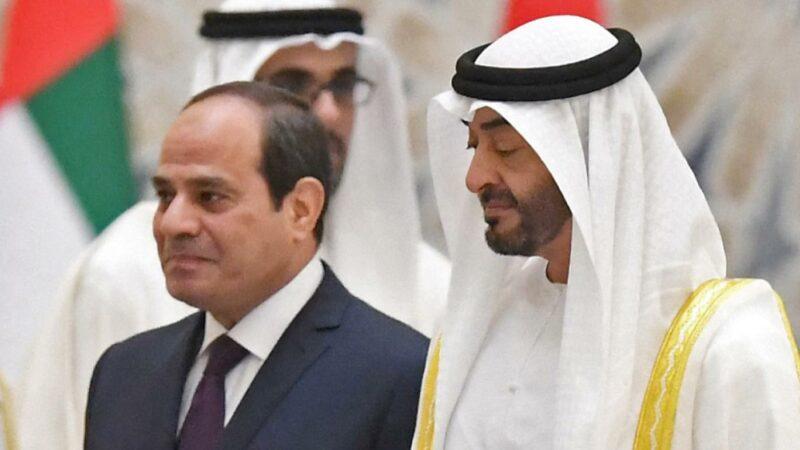 Vers un renforcement de la coopération entre les Emirats arabes unis et l’Égypte