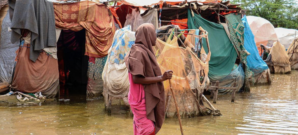 Les Nations unies font état de 54 morts de choléra en Somalie