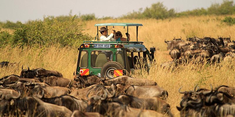 La Tanzanie a attiré près de 2 millions de touristes étrangers entre 2021 et 2023